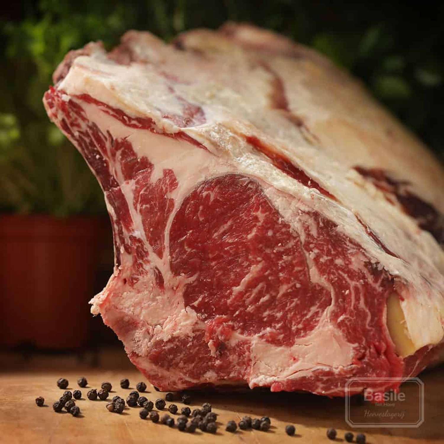 Côte a l'os Holstein maturée