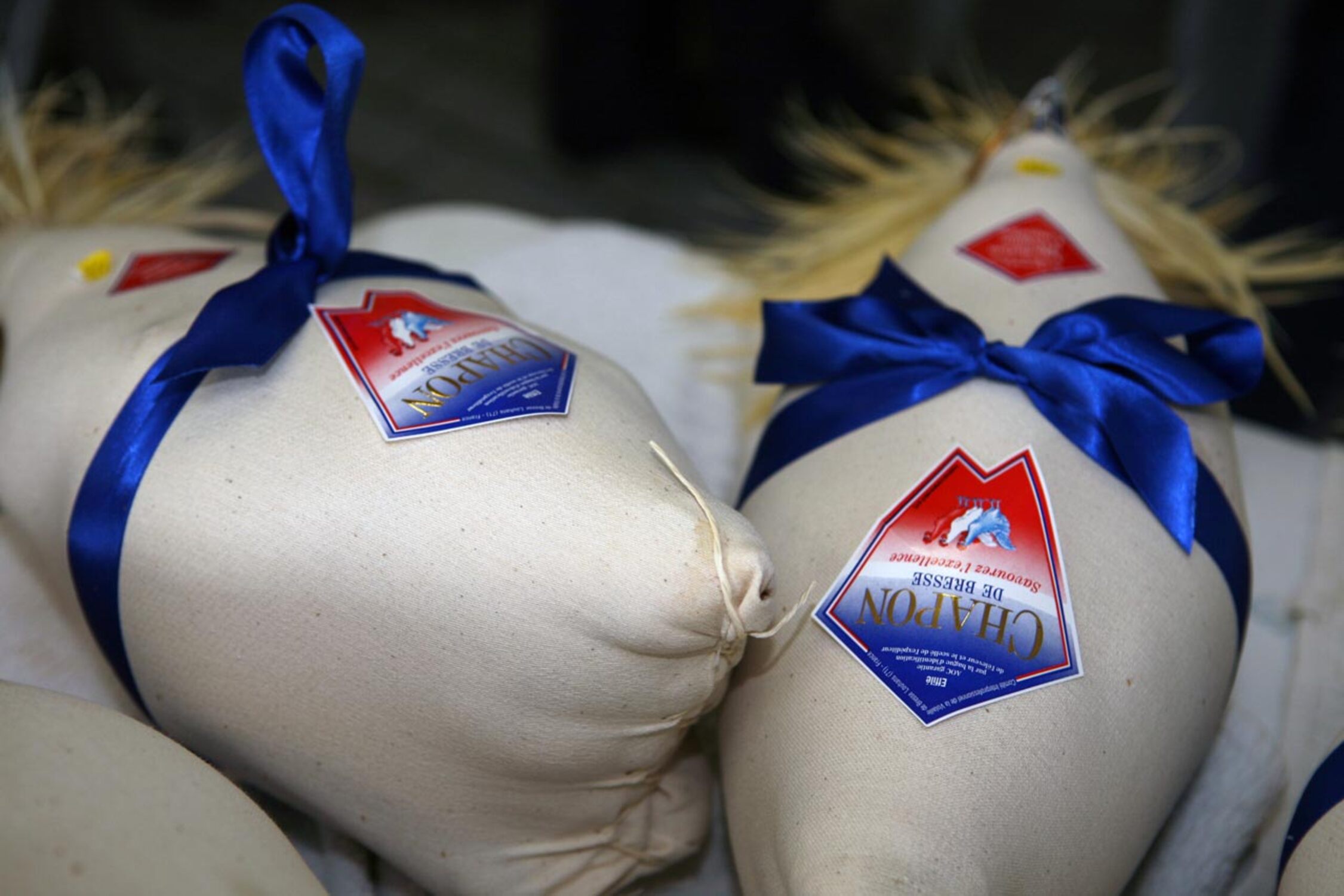 Chapon de Bresse effilé roulé dans un torchon