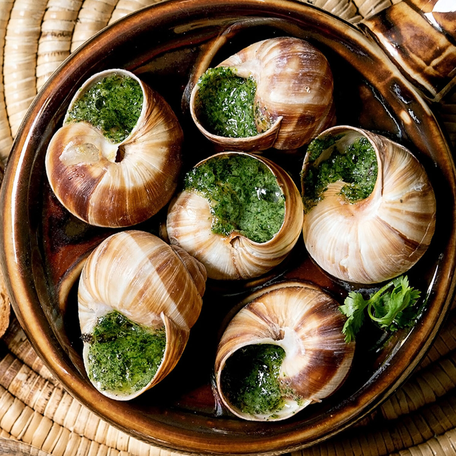 Escargots de Bourgogne très gros